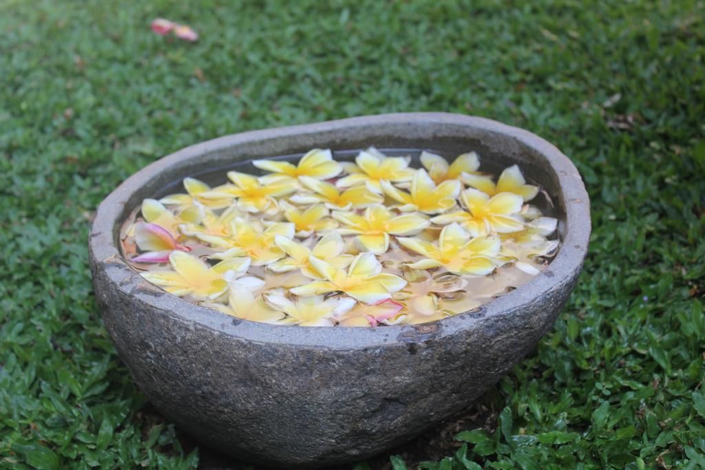 Odah Ayu Guest House Ubud  Ngoại thất bức ảnh
